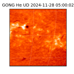 gong - 2024-11-28T05:00:02