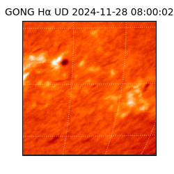 gong - 2024-11-28T08:00:02