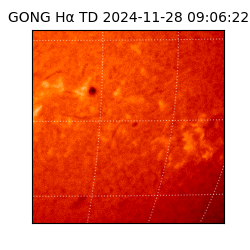 gong - 2024-11-28T09:06:22