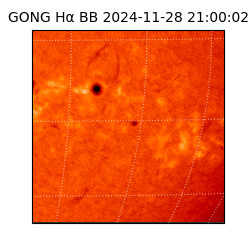 gong - 2024-11-28T21:00:02