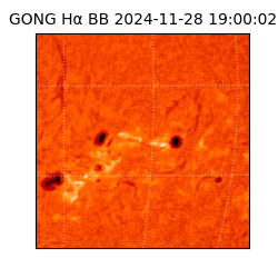 gong - 2024-11-28T19:00:02