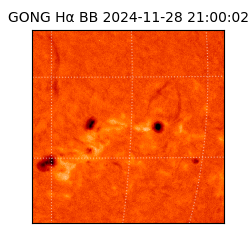 gong - 2024-11-28T21:00:02