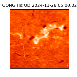 gong - 2024-11-28T05:00:02
