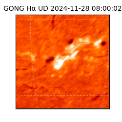 gong - 2024-11-28T08:00:02