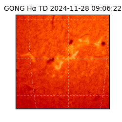 gong - 2024-11-28T09:06:22