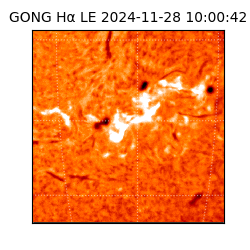 gong - 2024-11-28T10:00:42