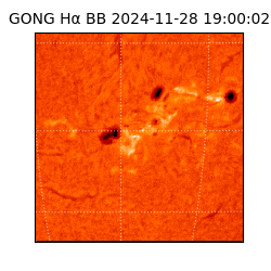 gong - 2024-11-28T19:00:02