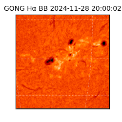 gong - 2024-11-28T20:00:02