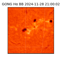 gong - 2024-11-28T21:00:02