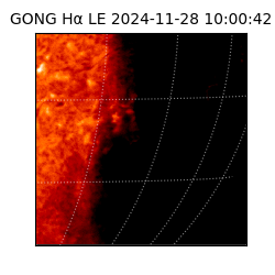 gong - 2024-11-28T10:00:42