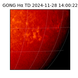gong - 2024-11-28T14:00:22