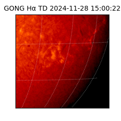 gong - 2024-11-28T15:00:22