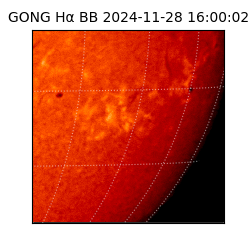 gong - 2024-11-28T16:00:02