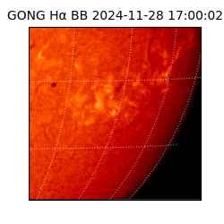 gong - 2024-11-28T17:00:02