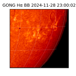 gong - 2024-11-28T23:00:02