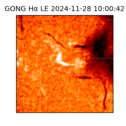 gong - 2024-11-28T10:00:42