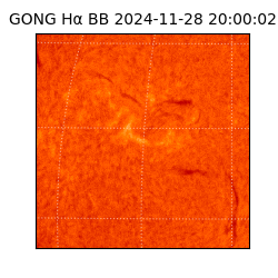 gong - 2024-11-28T20:00:02