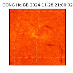 gong - 2024-11-28T21:00:02