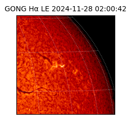 gong - 2024-11-28T02:00:42