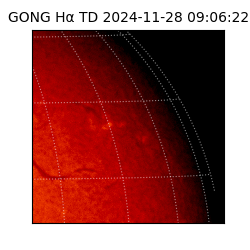 gong - 2024-11-28T09:06:22