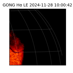gong - 2024-11-28T10:00:42