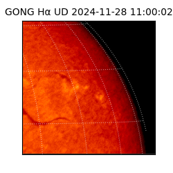 gong - 2024-11-28T11:00:02