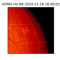 gong - 2024-11-28T16:00:02