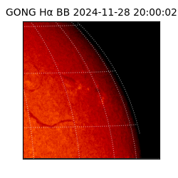 gong - 2024-11-28T20:00:02