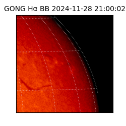 gong - 2024-11-28T21:00:02