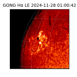 gong - 2024-11-28T01:00:42