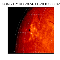 gong - 2024-11-28T03:00:02