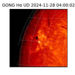 gong - 2024-11-28T04:00:02