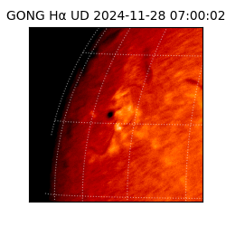 gong - 2024-11-28T07:00:02