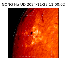 gong - 2024-11-28T11:00:02