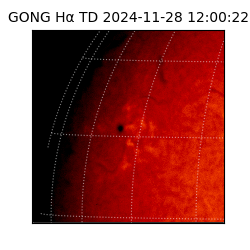 gong - 2024-11-28T12:00:22