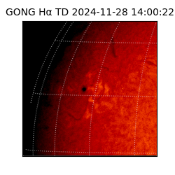 gong - 2024-11-28T14:00:22