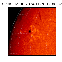 gong - 2024-11-28T17:00:02