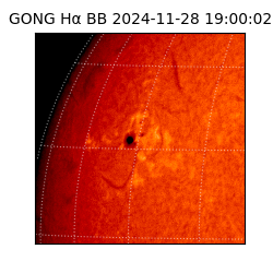 gong - 2024-11-28T19:00:02