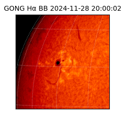 gong - 2024-11-28T20:00:02