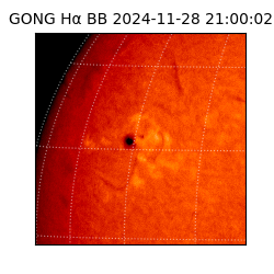 gong - 2024-11-28T21:00:02