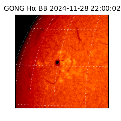 gong - 2024-11-28T22:00:02