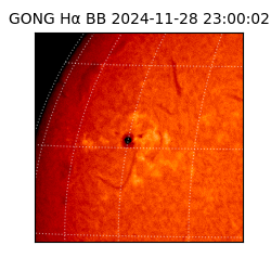 gong - 2024-11-28T23:00:02