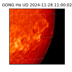 gong - 2024-11-28T11:00:02