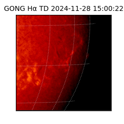 gong - 2024-11-28T15:00:22