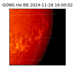 gong - 2024-11-28T16:00:02