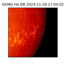 gong - 2024-11-28T17:00:02