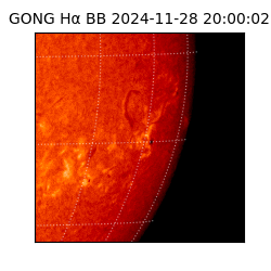 gong - 2024-11-28T20:00:02