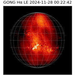gong - 2024-11-28T00:22:42