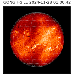 gong - 2024-11-28T01:00:42