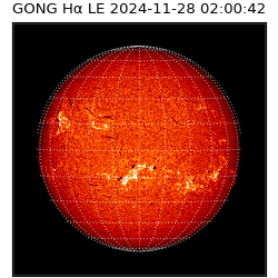 gong - 2024-11-28T02:00:42